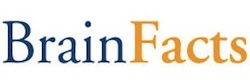 brainfacts